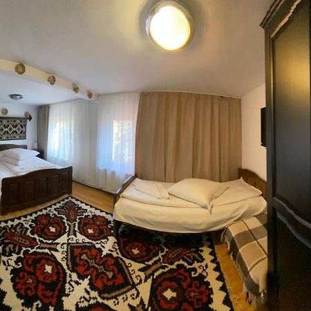 Pensiunea Casa Bianca - Bucovina Vama  Exteriér fotografie