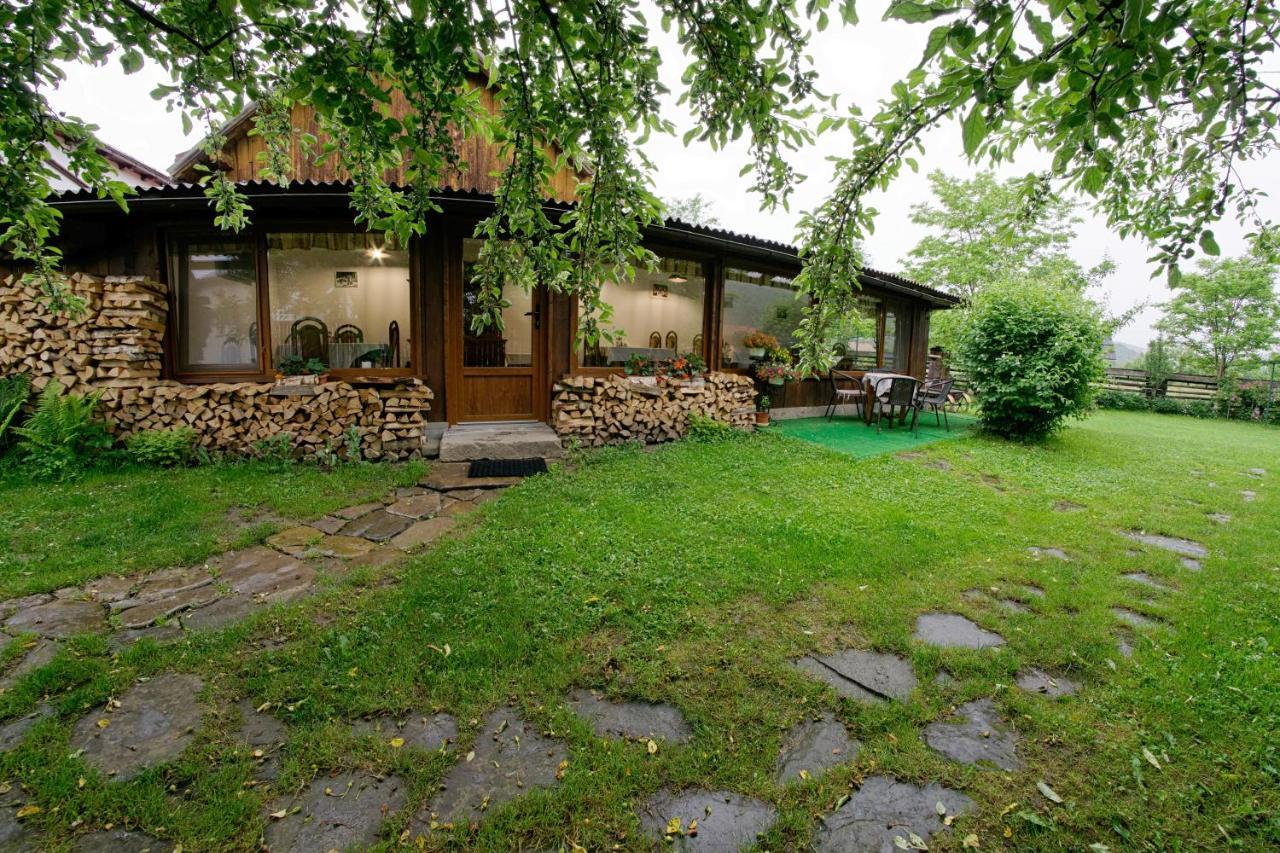 Pensiunea Casa Bianca - Bucovina Vama  Exteriér fotografie