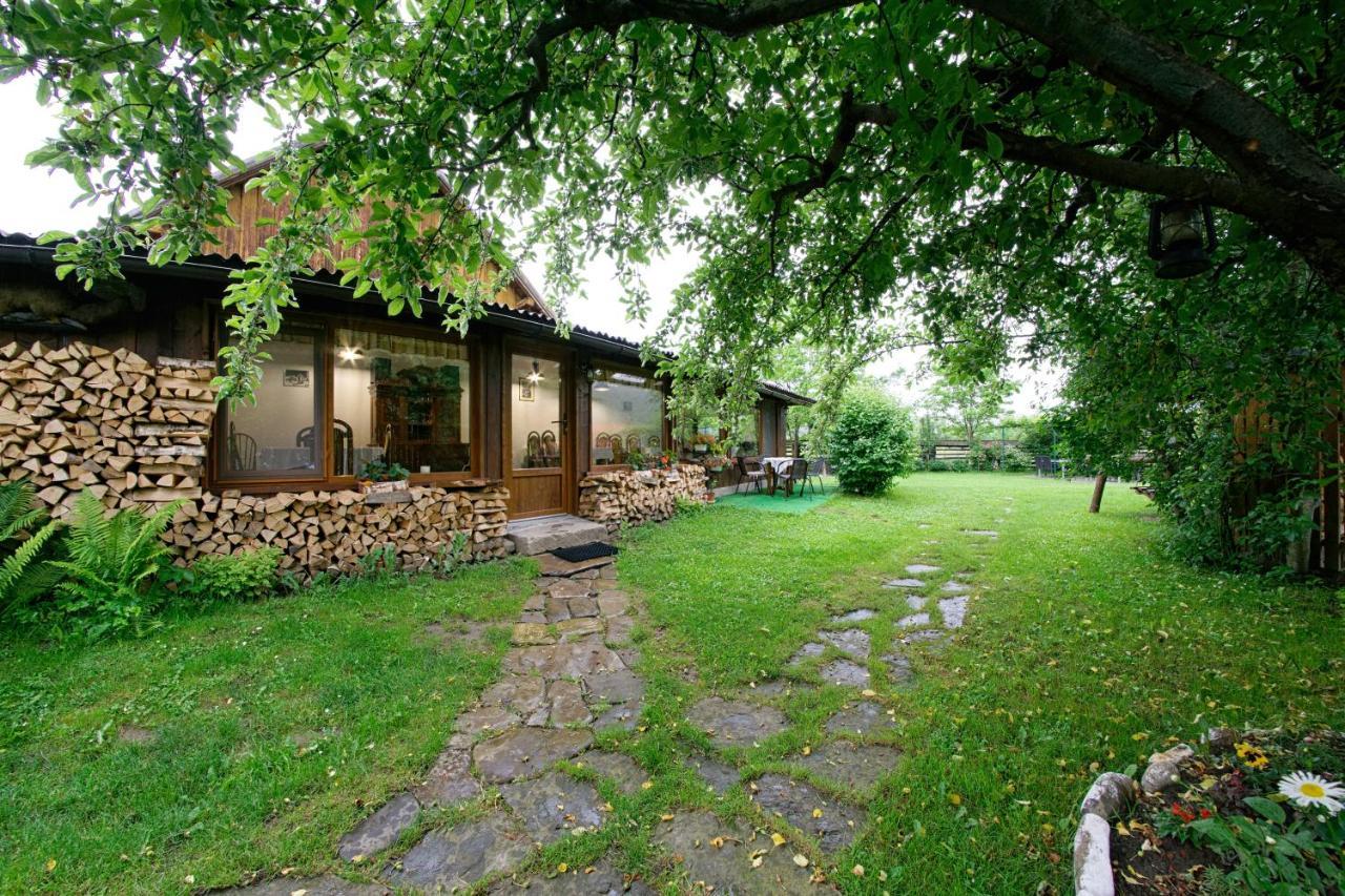 Pensiunea Casa Bianca - Bucovina Vama  Exteriér fotografie