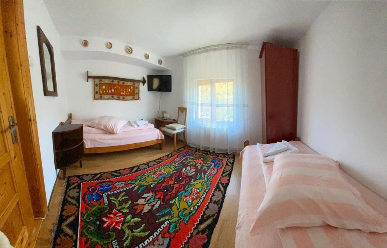 Pensiunea Casa Bianca - Bucovina Vama  Exteriér fotografie