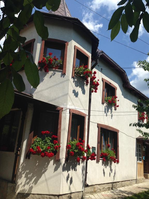 Pensiunea Casa Bianca - Bucovina Vama  Exteriér fotografie